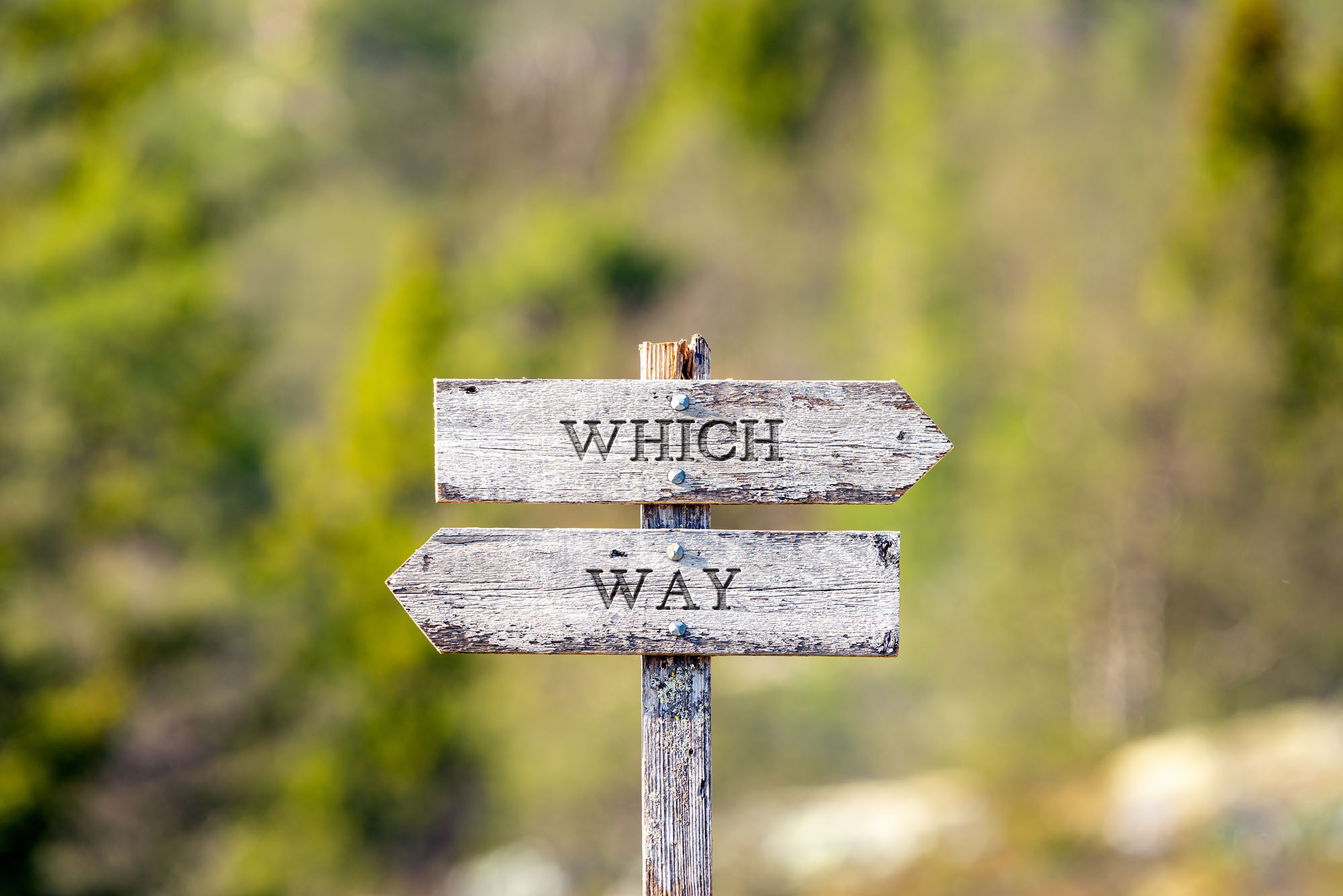Wegweiser Which way?