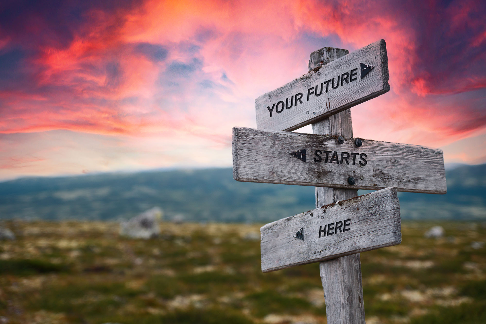 Wegweiser Your Future starts here